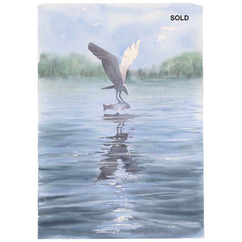 Portfolio Archive - Di Turner Art